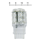 Superflux #194 Led Miniature Bulb. White Light, Glass Base Bulbs Mcs