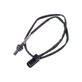 Cvp, O2 Sensor Triumph Daytona, Speed Triple, Sprint, Tiger Sensors Cv Performance