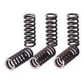 TRW clutch spring kit Clutch Springs Trw