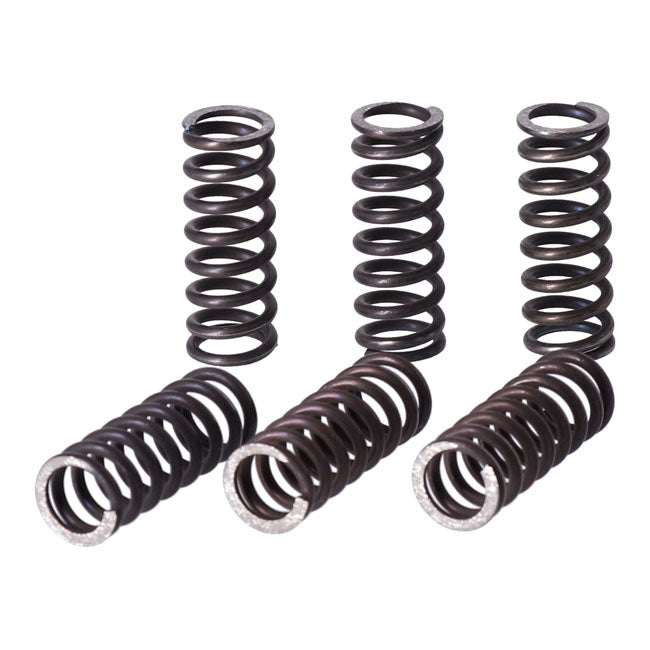 TRW clutch spring kit Clutch Springs Trw