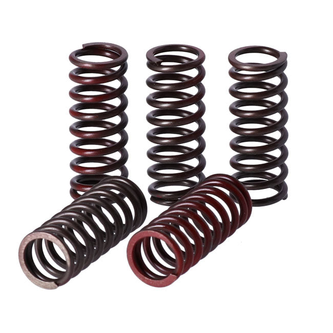 TRW clutch spring kit Clutch Springs Trw