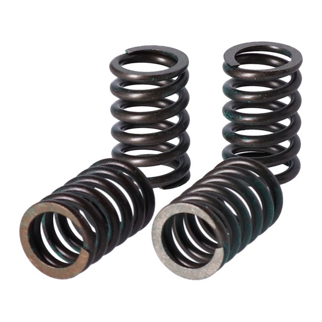 TRW clutch spring kit Clutch Springs Trw