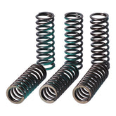 TRW clutch spring kit Clutch Springs Trw