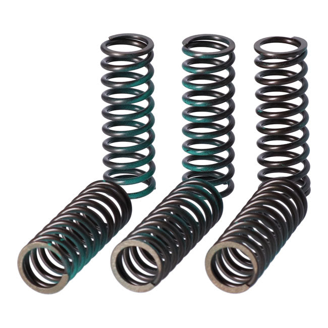 TRW clutch spring kit Clutch Springs Trw