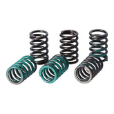 TRW clutch spring kit Clutch Springs Trw