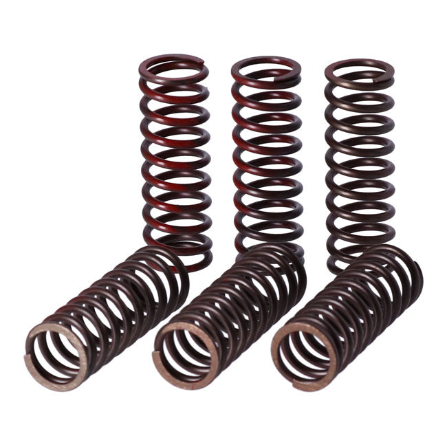 TRW clutch spring kit Clutch Springs Trw