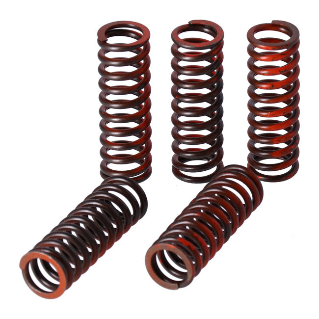 TRW clutch spring kit Clutch Springs Trw