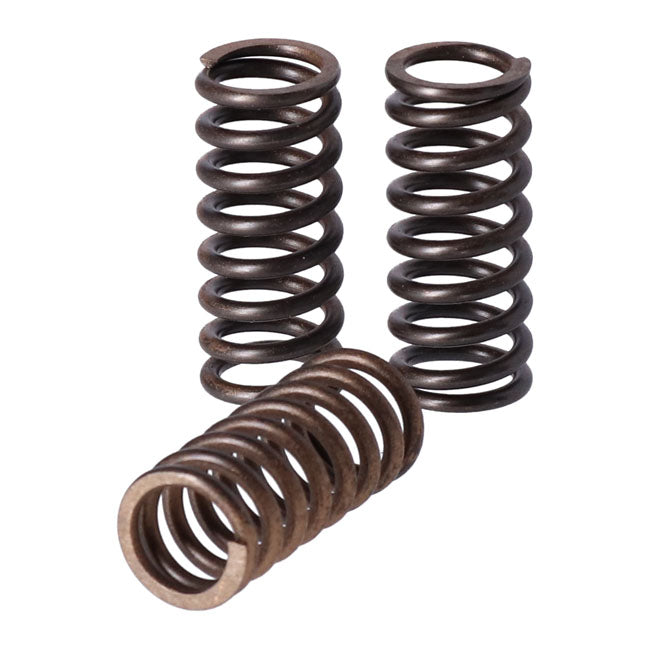 TRW clutch spring kit Clutch Springs Trw