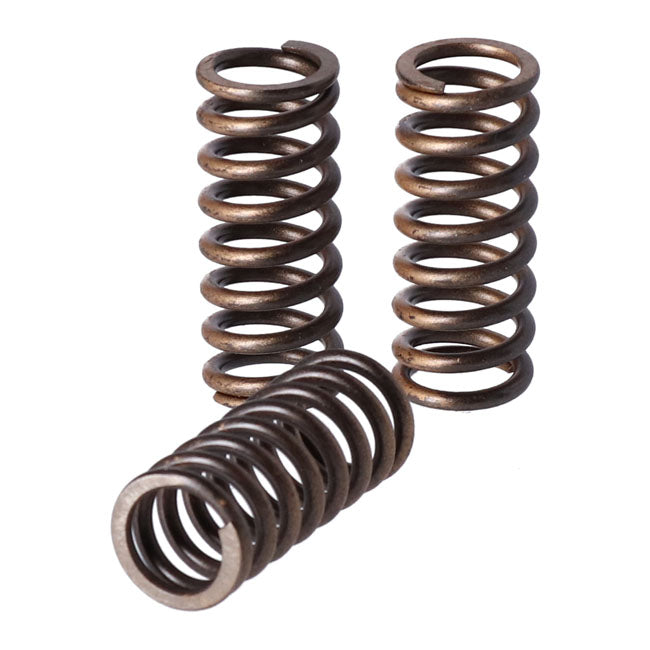 TRW clutch spring kit Clutch Springs Trw