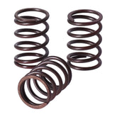 TRW clutch spring kit Clutch Springs Trw