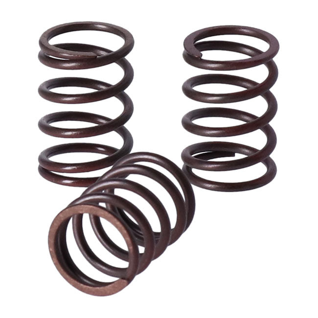 TRW clutch spring kit Clutch Springs Trw