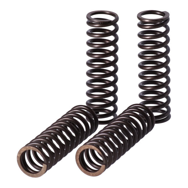 TRW clutch spring kit Clutch Springs Trw