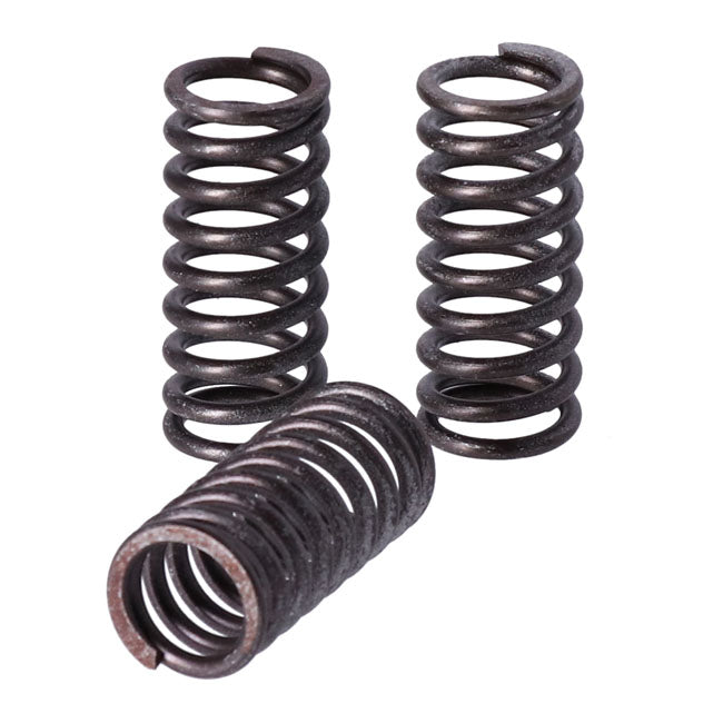 TRW clutch spring kit Clutch Springs Trw