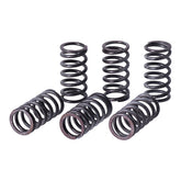 TRW clutch spring kit Clutch Springs Trw