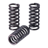 TRW clutch spring kit Clutch Springs Trw