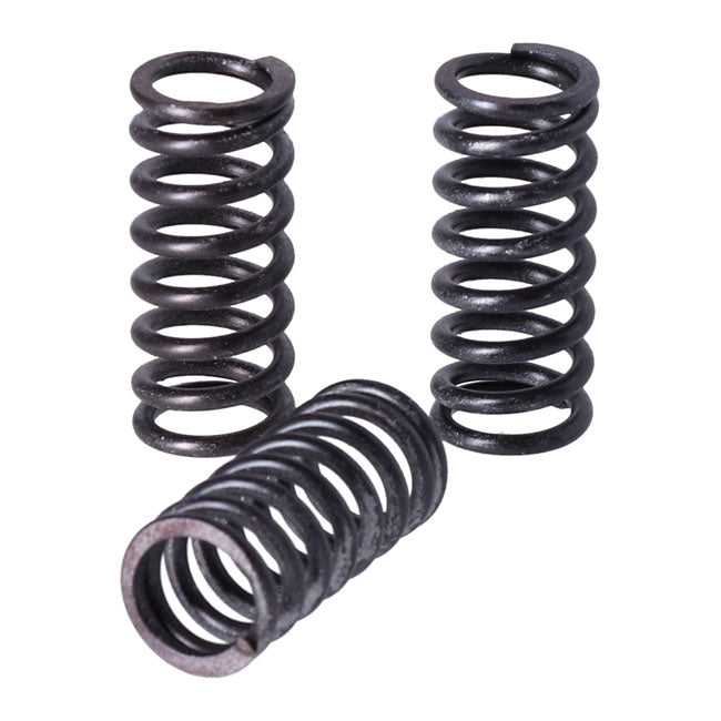 TRW clutch spring kit Clutch Springs Trw