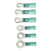 Standard Co, Ring terminal connectors #6. Blue Terminals Standard