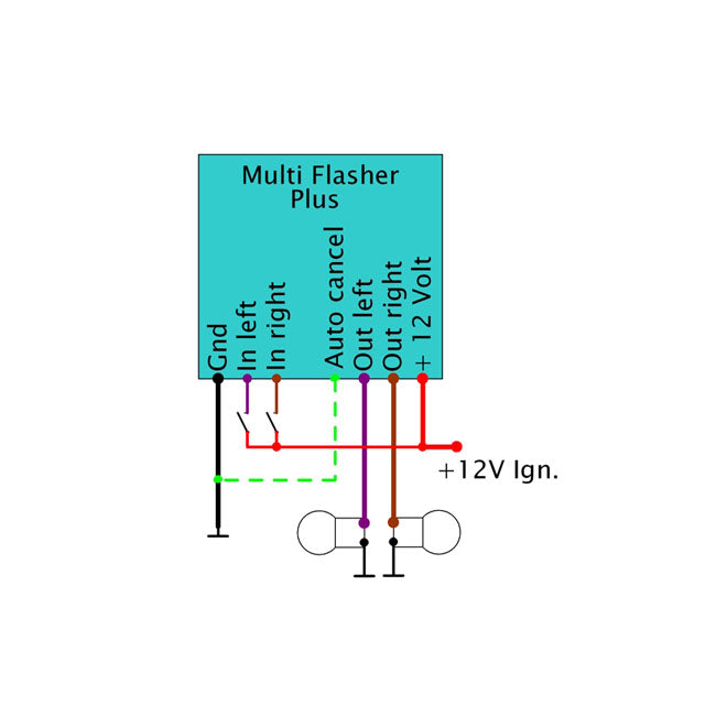 Axel Joost Elektronik, Multi Flash Plus Switches Elektronikbox
