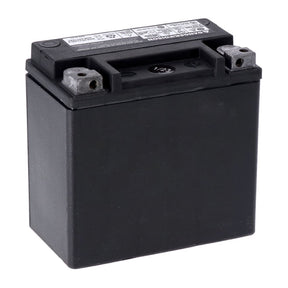 Mcs, Advance Series Agm Sealed Battery. 12v, 12 Ah, 220cca Batteries Mcs