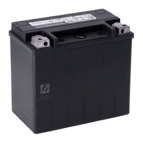 Mcs, Advance Series Agm Sealed Battery. 12v, 19ah. 325cca Batteries Mcs