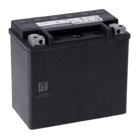 Mcs, Advance Series Agm Sealed Battery. 12v, 19ah, 325cca Batteries Mcs