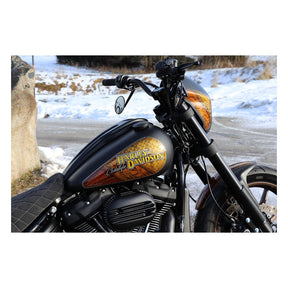 Dash Cover, Black - 18+ Softail Dash Panel Cult Werk