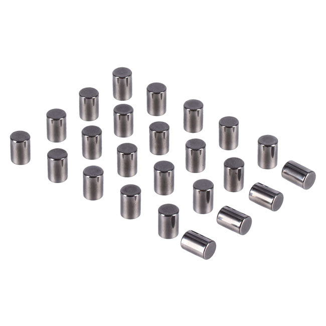 Pinion Shaft (Left Side) Crankcase Rollers. +.0002" Rollers Mcs