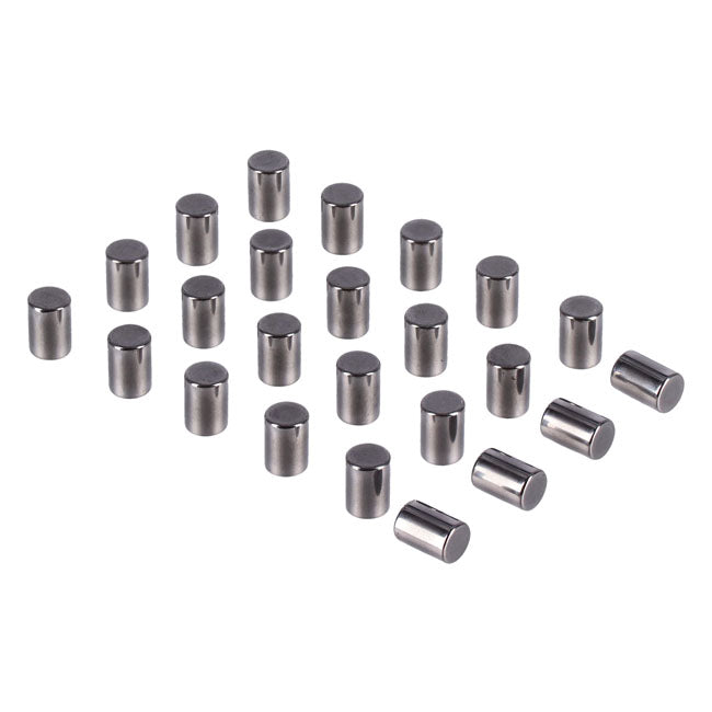 Pinion Shaft (Left Side) Crankcase Rollers. +.0004" Rollers Mcs