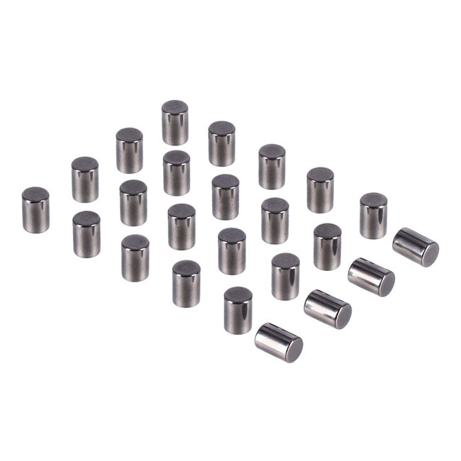 Pinion Shaft (Left Side) Crankcase Rollers. +.0010" Rollers Mcs