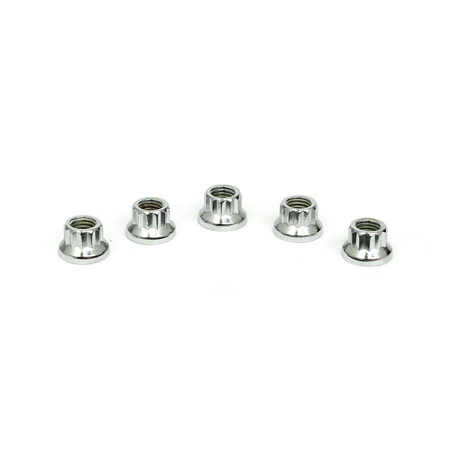 Chrome 12 Point Nut, 1/4 28 25 Pack Nuts Jam Chrome Usa Sizes Gardner Westcott