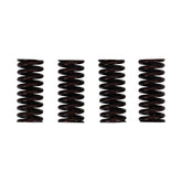 Valve Spring Set Valve Springs Mcs