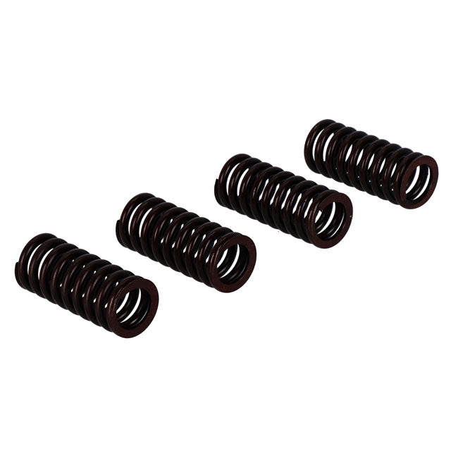 Valve Spring Set Valve Springs Mcs