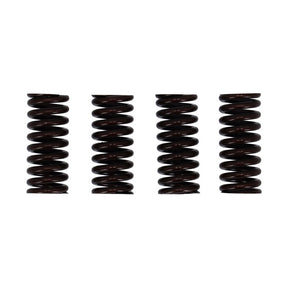 Valve Spring Set Valve Springs Mcs