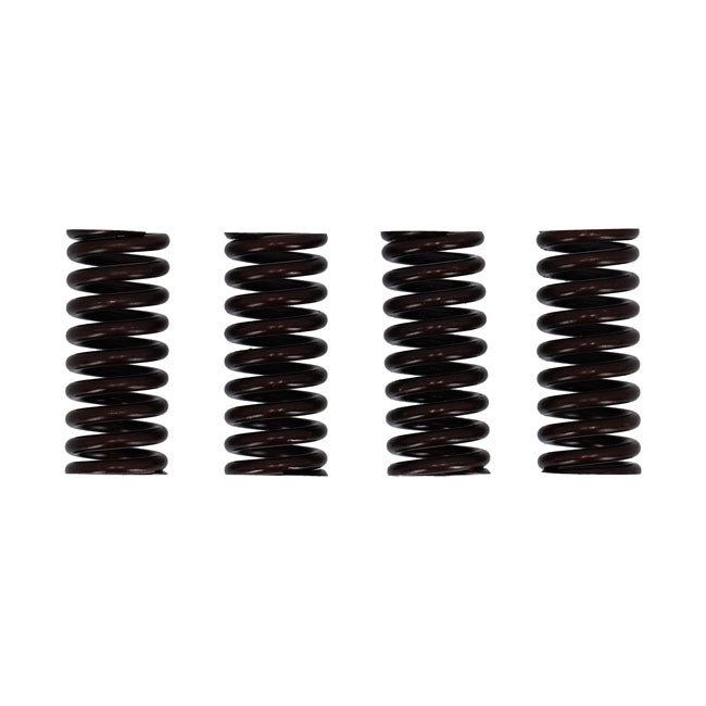 Valve Spring Set Valve Springs Mcs