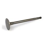 Flathead Intake Valve, Stainless Valves Intake Samwel