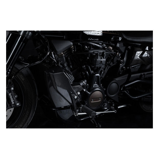 Zard, carbon radiator cover and side panel kit Full Exhaust System Zard