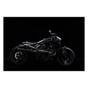 Zard, carbon headlamp fairing kit Full Exhaust System Zard