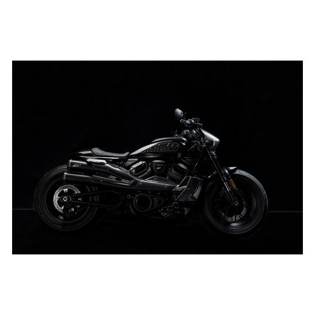 Zard, carbon headlamp fairing kit Full Exhaust System Zard