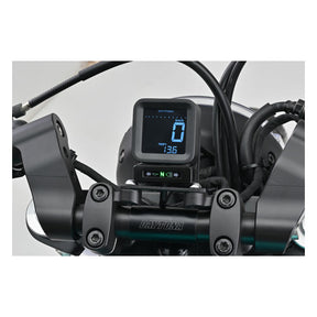 Daytona Digitaltal Speed & Rpm Meter C Clocks Daytona