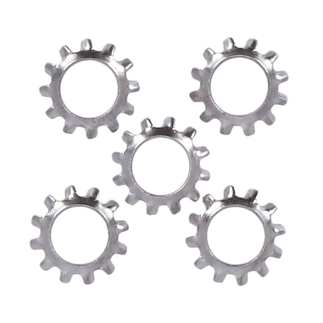 Ss Ext. Countersunk Lockwasher, 1/4 Inch Lockwashers Usa Sizes Gardner Westcott
