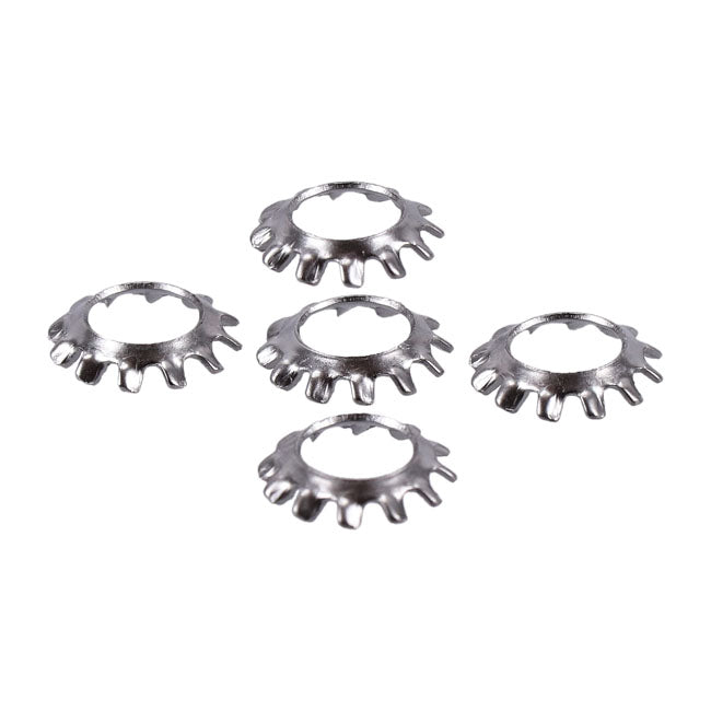 Ss Ext. Countersunk Lockwasher, 1/4 Inch Lockwashers Usa Sizes Gardner Westcott