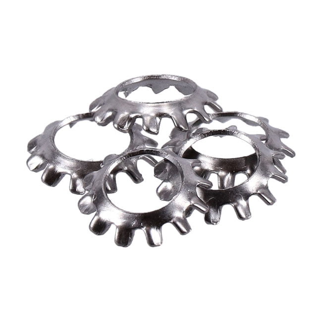 Ss Ext. Countersunk Lockwasher, 1/4 Inch Lockwashers Usa Sizes Gardner Westcott