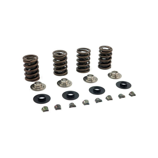 JIMS, valve spring kit. Titanium .600" lift Valve Springs Jims