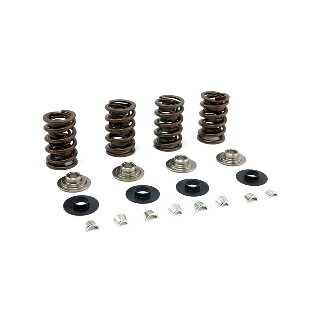 JIMS, valve spring kit, race. Titanium .675" lift Valve Springs Jims