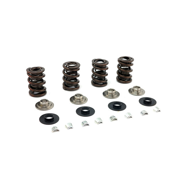 JIMS, valve spring kit, race. Titanium .700" lift Valve Springs Jims