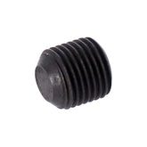 Set Screw, Shifter Fork Shaft, Left Transmission Misc Mcs
