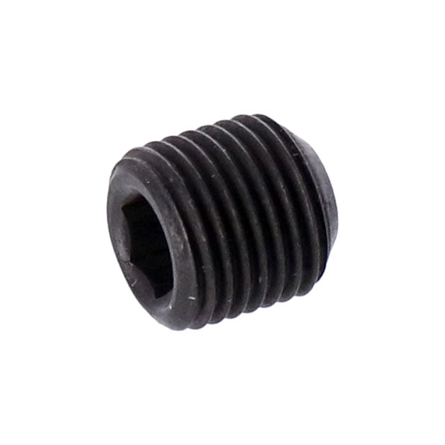 Set Screw, Shifter Fork Shaft, Left Transmission Misc Mcs