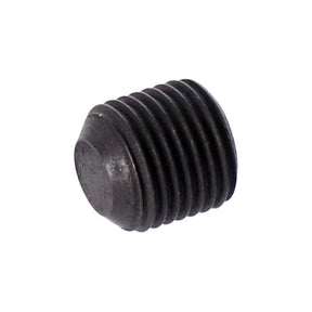 Set Screw, Shifter Fork Shaft, Left Transmission Misc Mcs