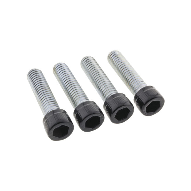 Screws4 Bikes, Bolt Kit. Foot Pegs Rider Builders Fastener Sets Screws4 Bikes