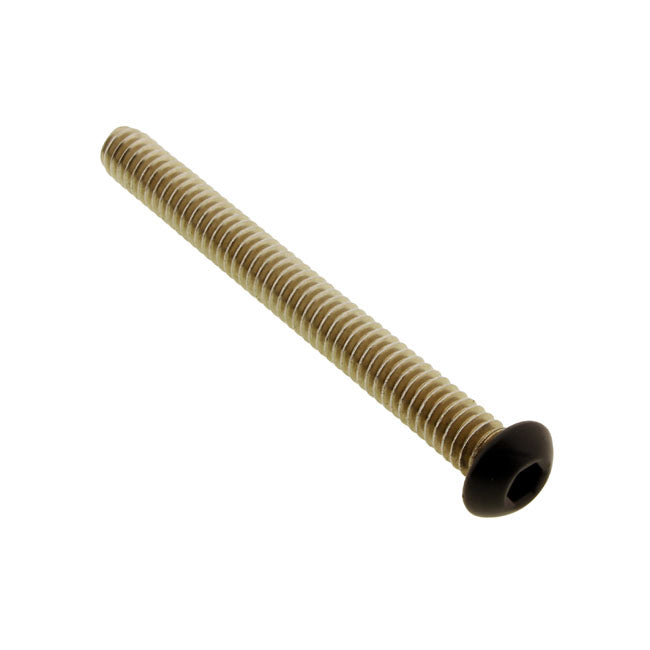 Screws4 Bikes, Bolt Kit, Electronic Control Modul (Ecm/Ecu) Builders Fastener Sets Screws4 Bikes